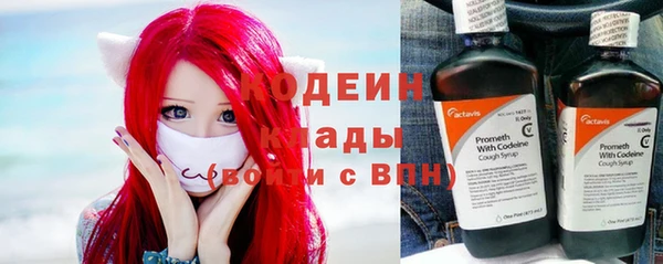 индика Верея
