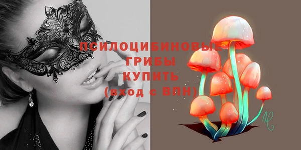индика Верея