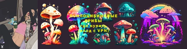 индика Верея