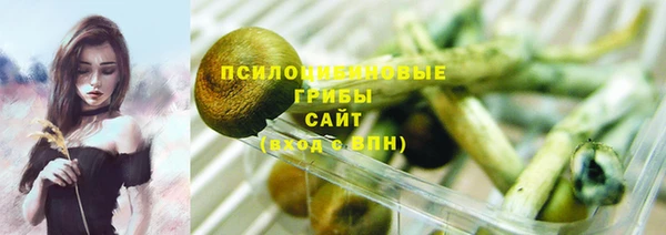 индика Верея