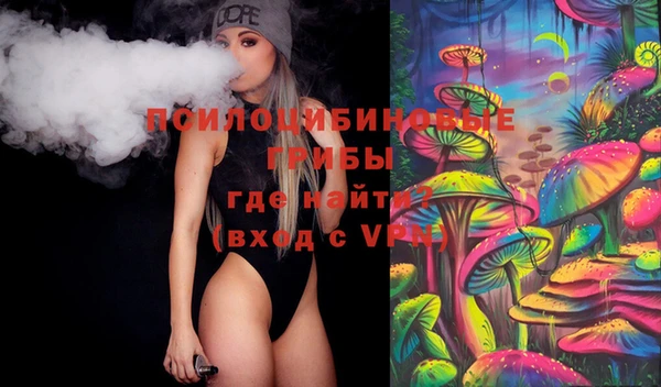индика Верея