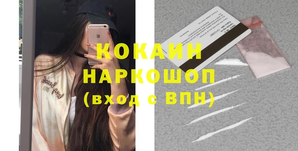 индика Верея