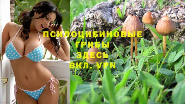 мдпв Тавда