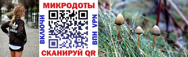 наркота  Каргополь  blacksprut маркетплейс  Псилоцибиновые грибы Magic Shrooms 